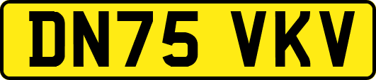 DN75VKV