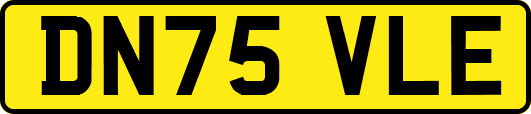 DN75VLE