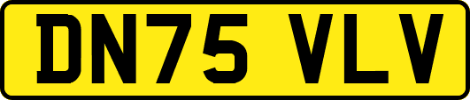 DN75VLV