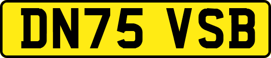 DN75VSB