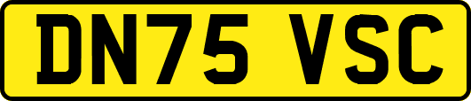 DN75VSC