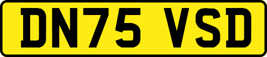 DN75VSD
