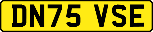 DN75VSE