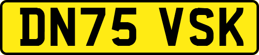 DN75VSK