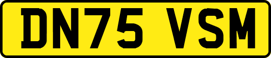DN75VSM