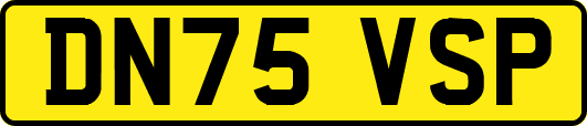 DN75VSP