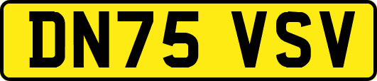 DN75VSV