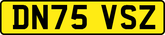 DN75VSZ