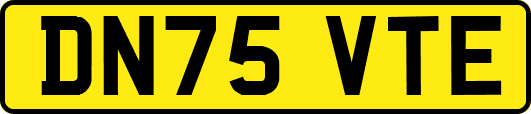 DN75VTE