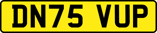 DN75VUP