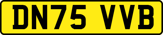 DN75VVB