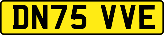 DN75VVE