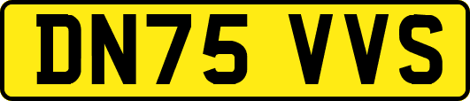 DN75VVS