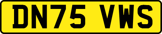 DN75VWS