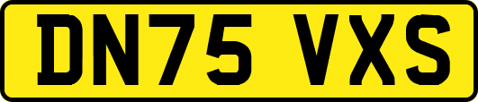 DN75VXS