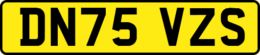 DN75VZS