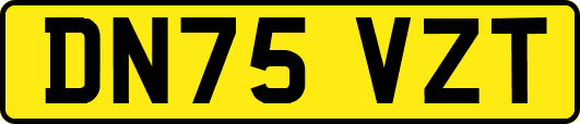 DN75VZT