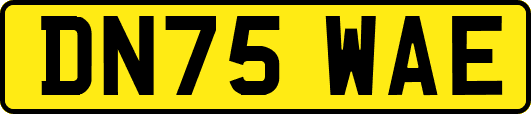 DN75WAE
