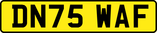 DN75WAF