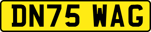 DN75WAG