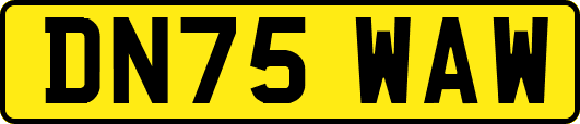 DN75WAW