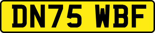 DN75WBF