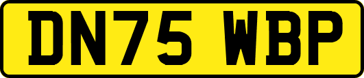 DN75WBP