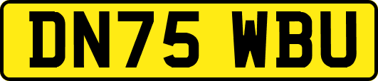 DN75WBU