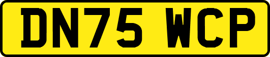 DN75WCP