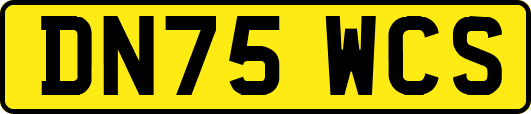DN75WCS