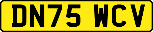 DN75WCV
