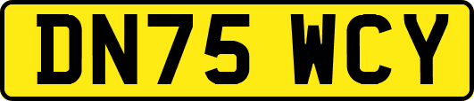 DN75WCY