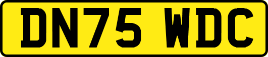 DN75WDC