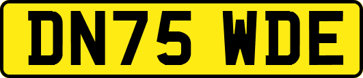 DN75WDE