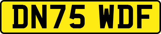 DN75WDF