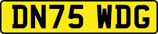 DN75WDG