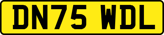 DN75WDL