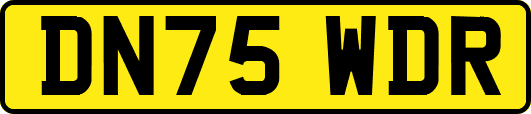 DN75WDR