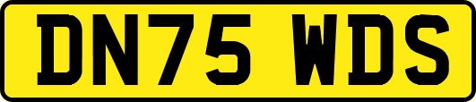 DN75WDS