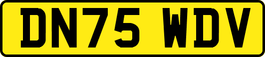 DN75WDV