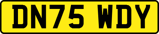 DN75WDY