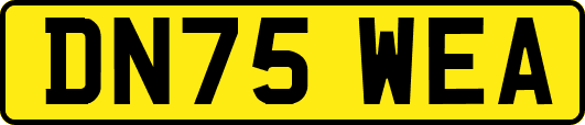 DN75WEA