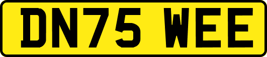 DN75WEE