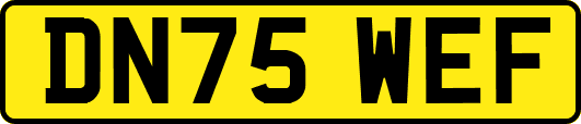 DN75WEF