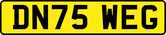 DN75WEG