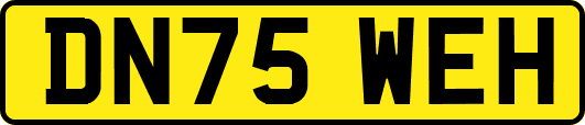 DN75WEH