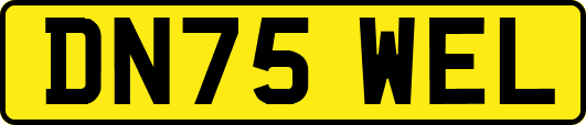 DN75WEL