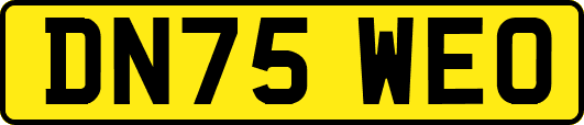 DN75WEO