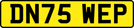 DN75WEP