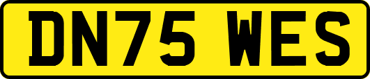 DN75WES